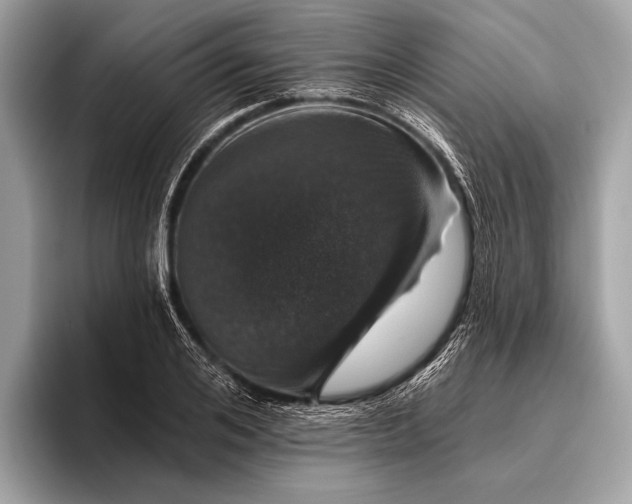 X0000095920984200801251026