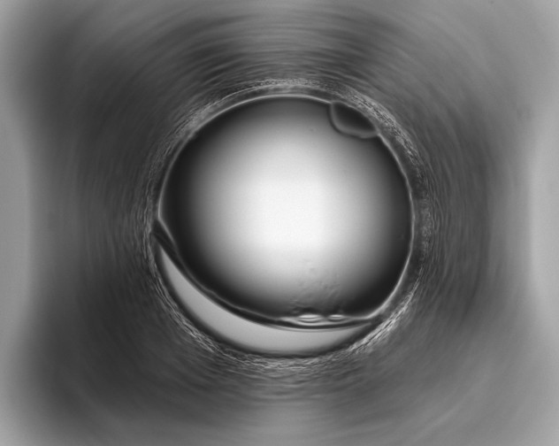 X0000095920985200801251026