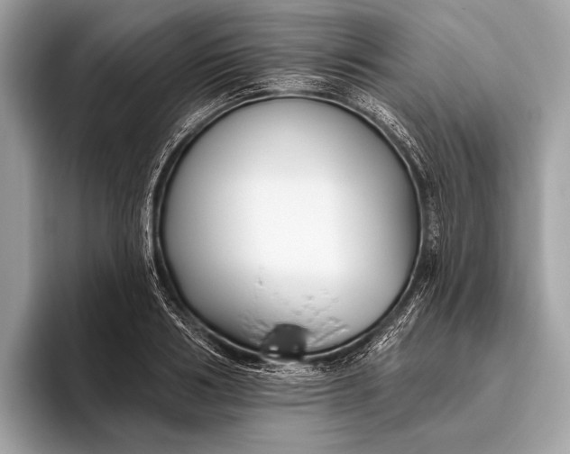 X0000095920986200801251026