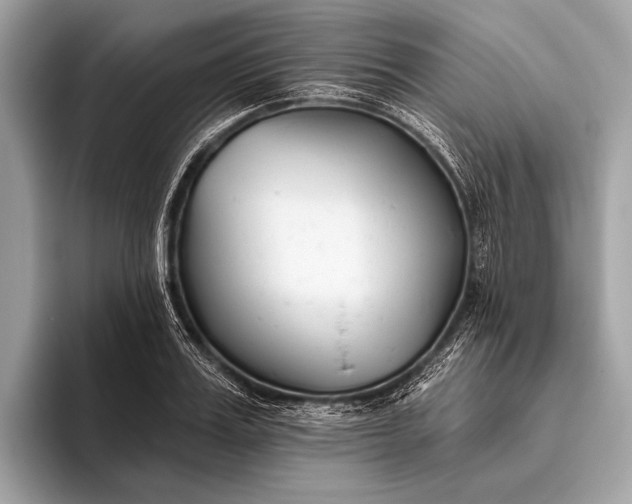 X0000095920987200801251026