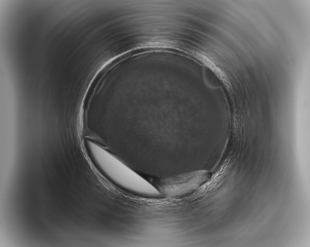 X0000095920988200801251026