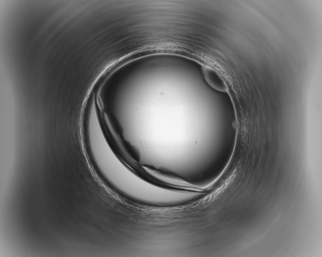 X0000095920989200801251026