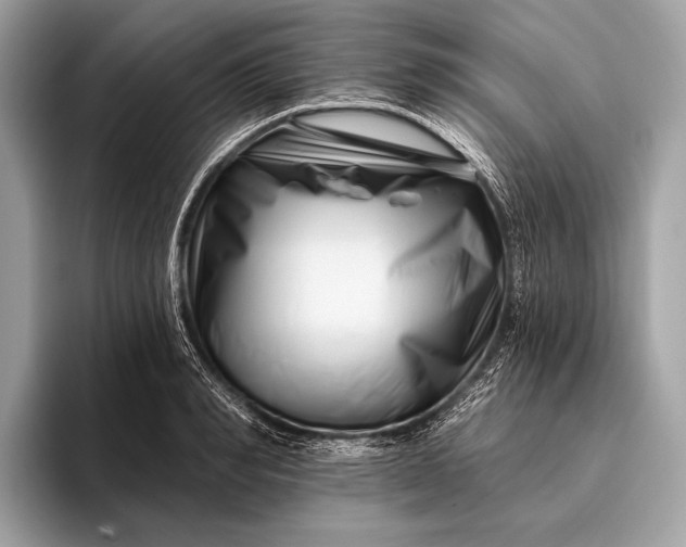 X0000095920990200801251026