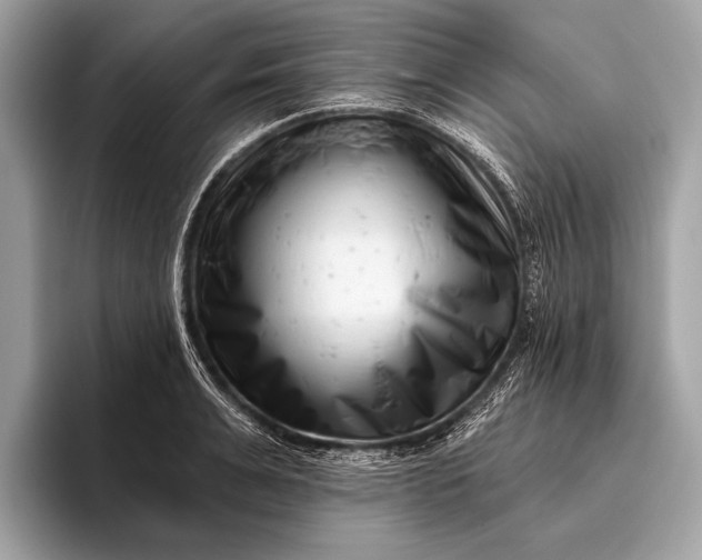 X0000095920991200801251026