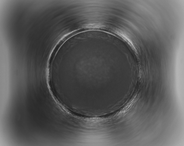 X0000095920992200801251026