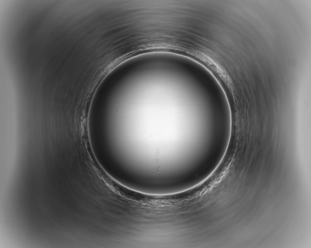 X0000095920993200801251026