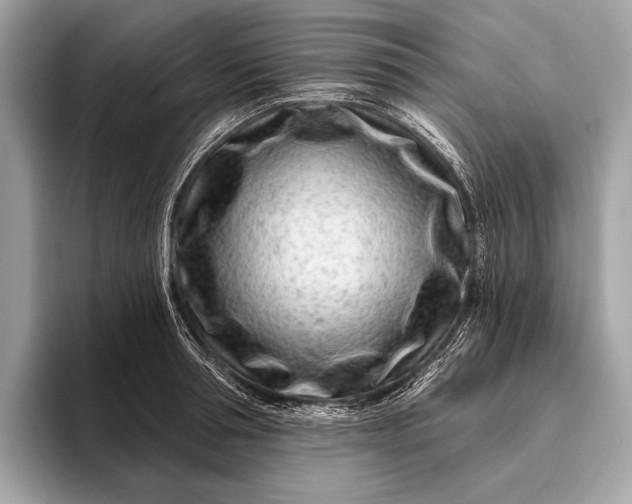 X0000095920994200801251026