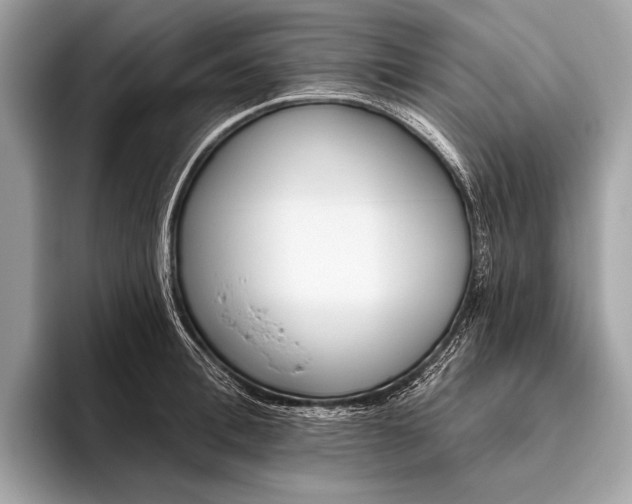 X0000095920996200801251026