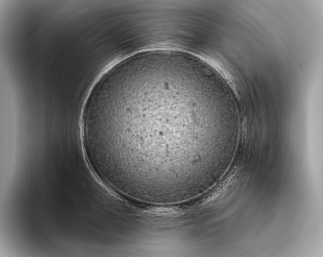 X0000095920998200801251026