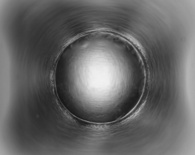 X0000095921001200801251026