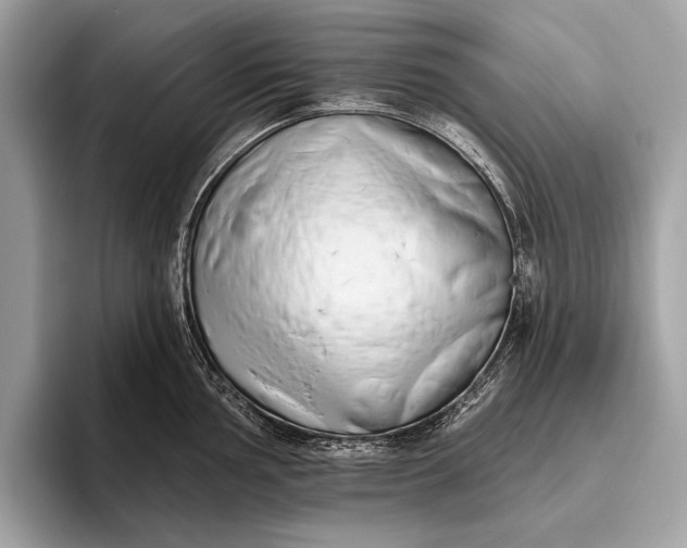 X0000095921002200801251026