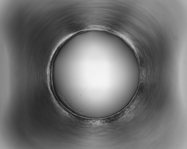 X0000095921003200801251026