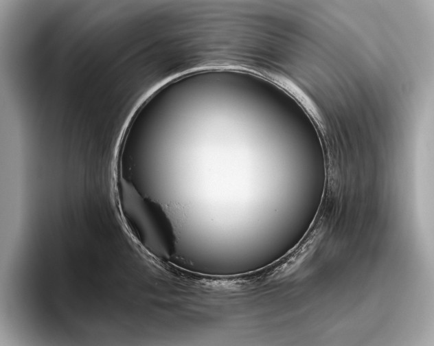 X0000095921004200801251026