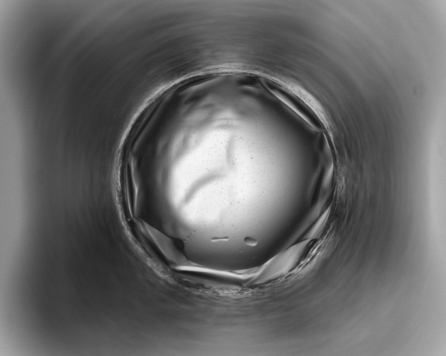 X0000095921005200801251026