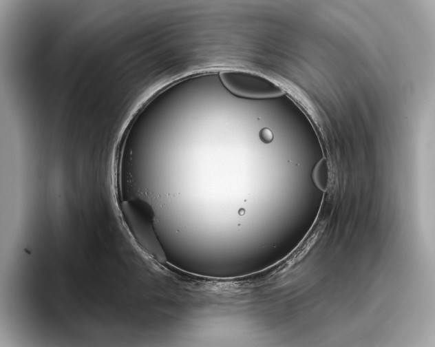 X0000095921006200801251026