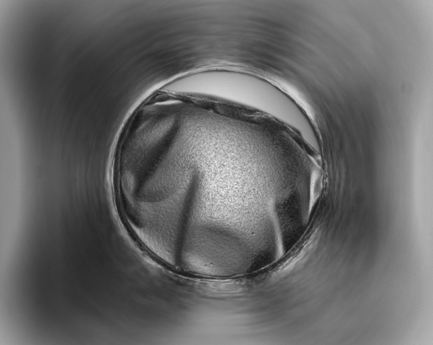 X0000095921007200801251026