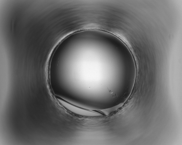 X0000095921008200801251026