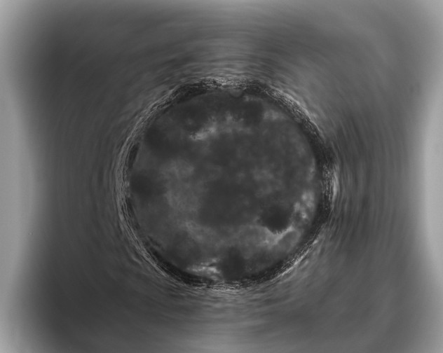 X0000095921009200801251025