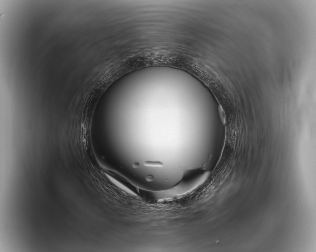 X0000095921010200801251025