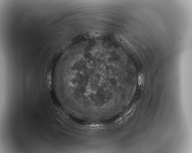 X0000095921011200801251025