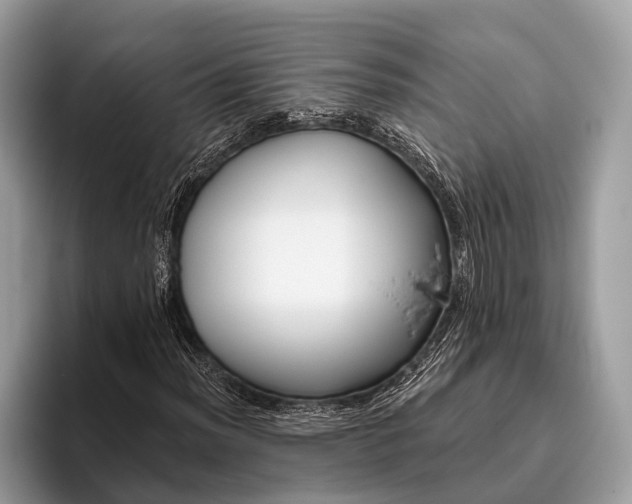 X0000095921012200801251025