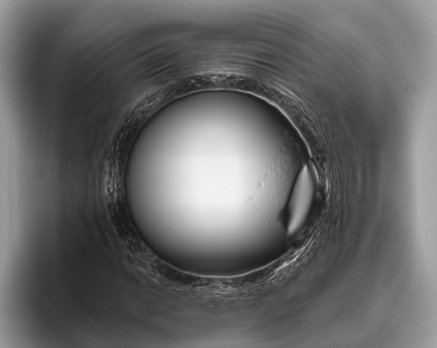 X0000095921014200801251025