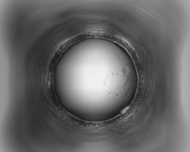 X0000095921016200801251025