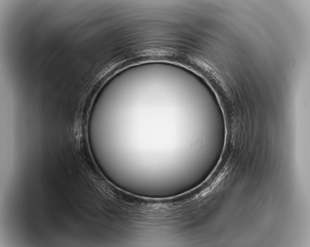 X0000095921017200801251025