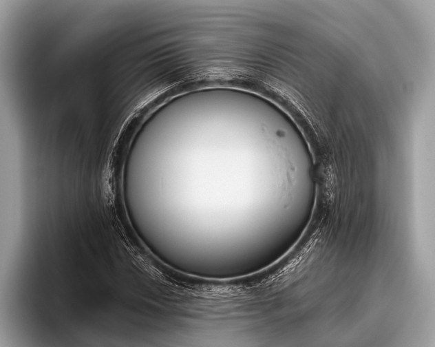 X0000095921018200801251025