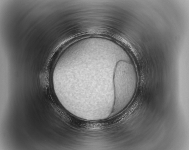 X0000095921019200801251025