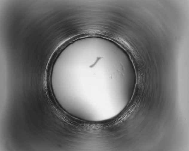 X0000095921020200801251025