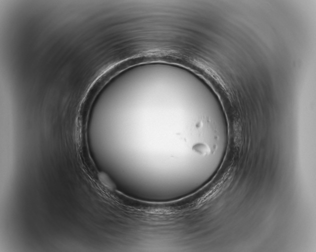 X0000095921021200801251025