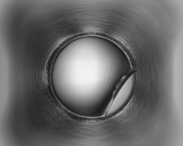 X0000095921022200801251025