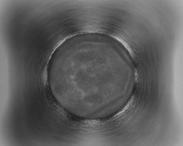 X0000095921023200801251025