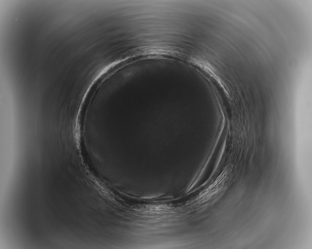 X0000095921024200801251025