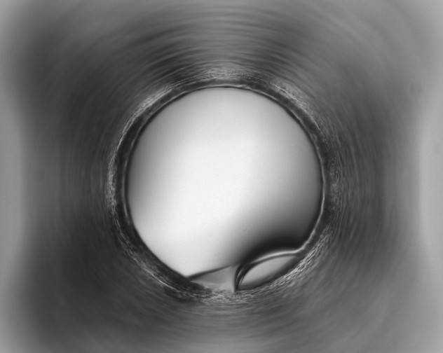 X0000095921026200801251026