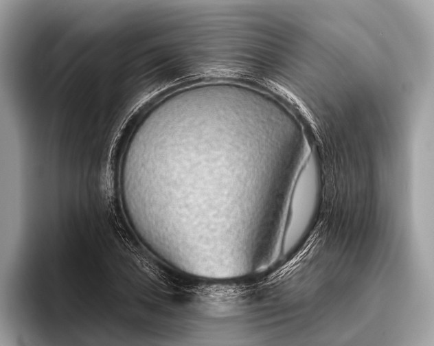 X0000095921027200801251026