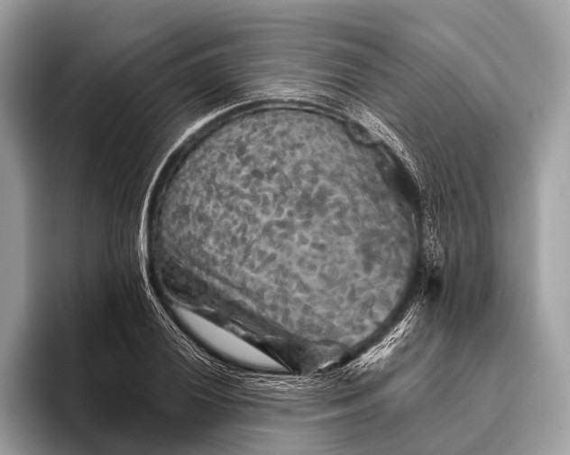 X0000095921028200801251026