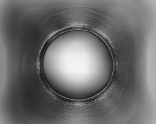 X0000095921029200801251026