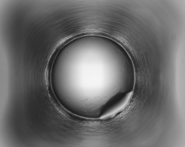 X0000095921030200801251026