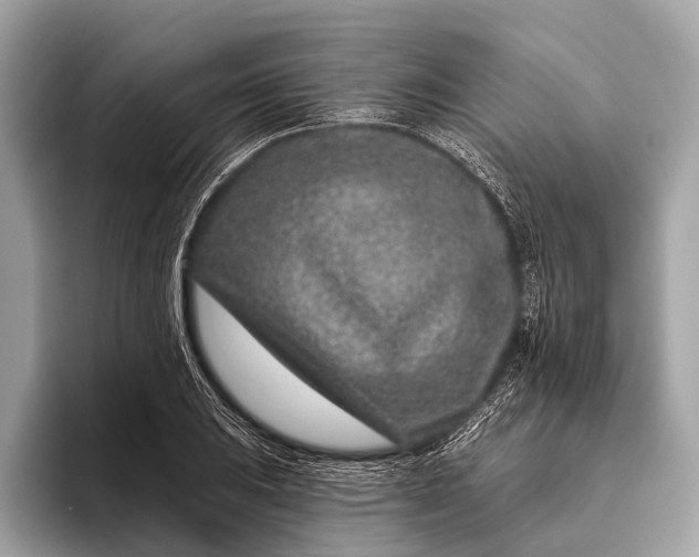 X0000095921031200801251026