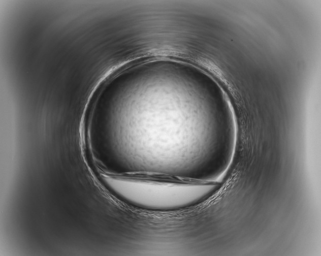 X0000095921032200801251026