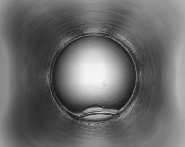 X0000095921033200801251026