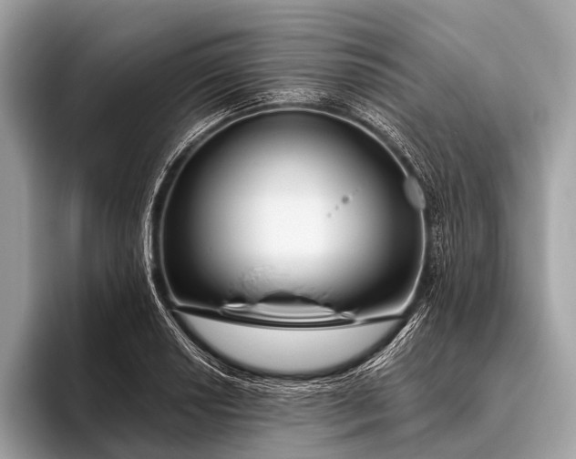 X0000095921034200801251026