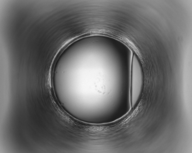 X0000095921036200801251026