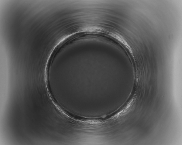 X0000095921037200801251026