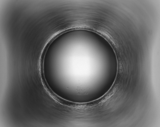 X0000095921038200801251026