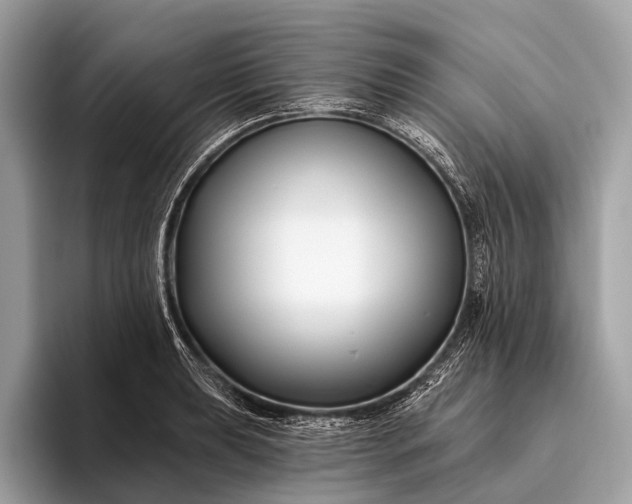 X0000095921039200801251026