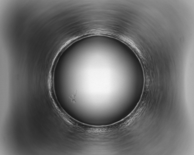 X0000095921040200801251026