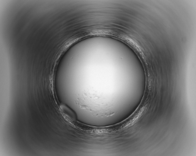 X0000095921041200801251026